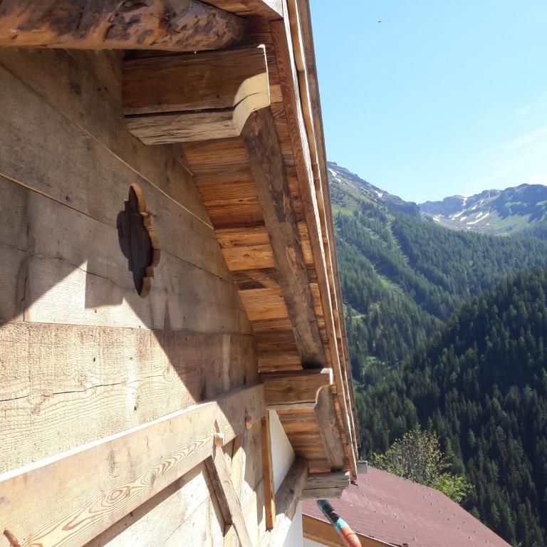 Haus Edelweiss Alpine Chalet near Samnaun - Ferienhaus - 46