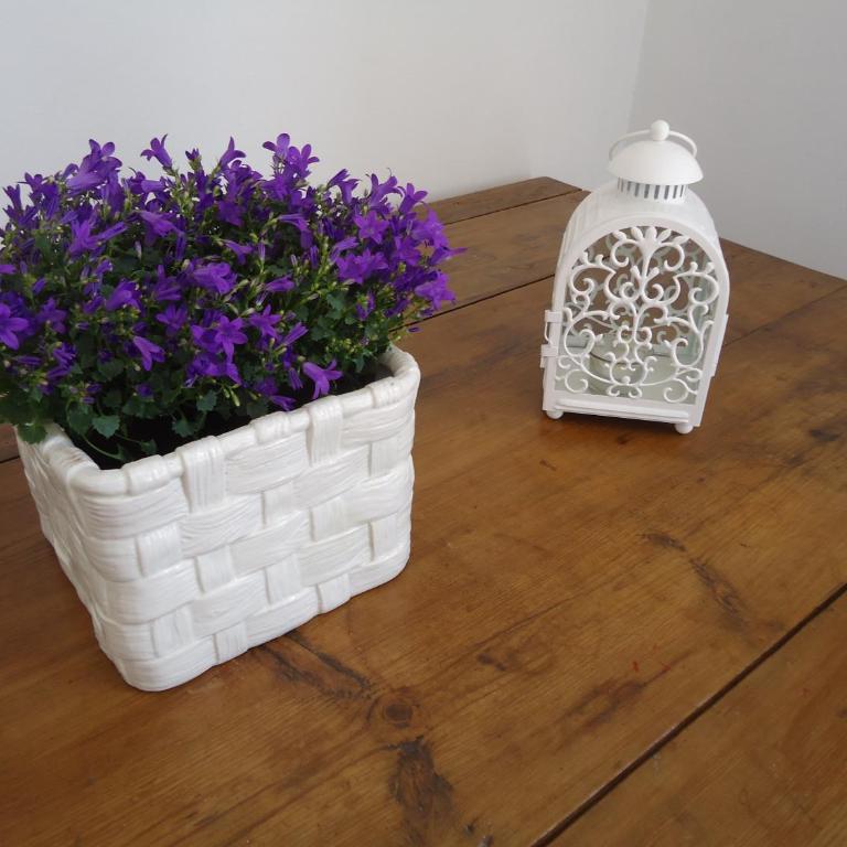 The Terrace, my place - Appartamento - 25