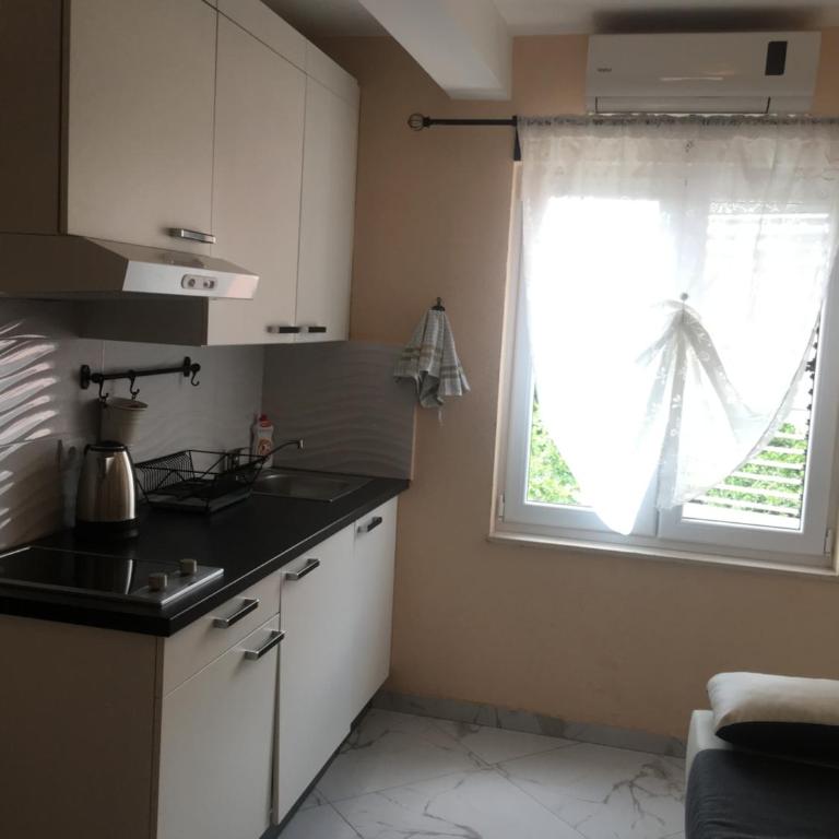Pakovo Apartments Andrija - Apartman s 1 Spavaćom Sobom i Balkonom - 21