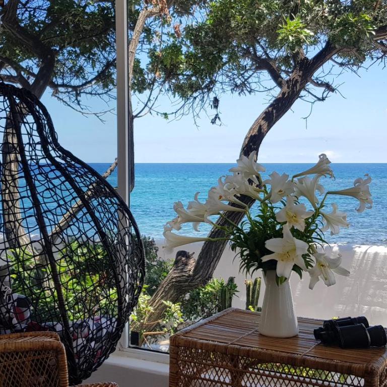 Loro Verde - Villa frente a la playa - 46
