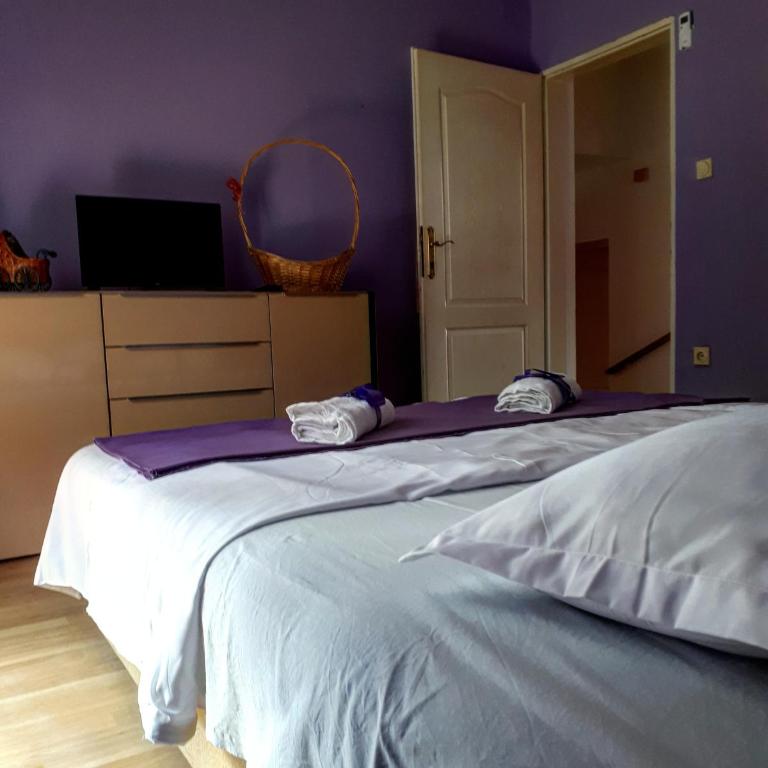 Apartments Vitic - Apartman sa 2 Spavaće Sobe - 6