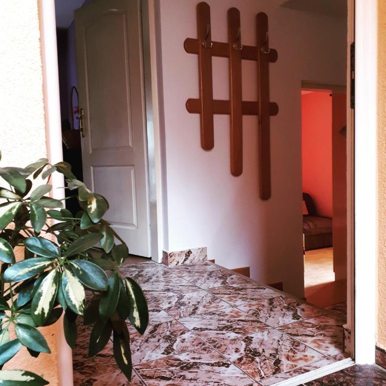 Apartments Vitic - Apartman sa 2 Spavaće Sobe - 1
