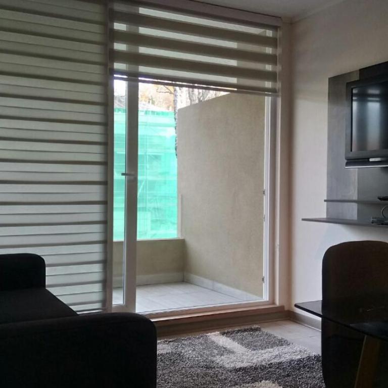 Alta Vista Pucon Centro - Apartamento - 31