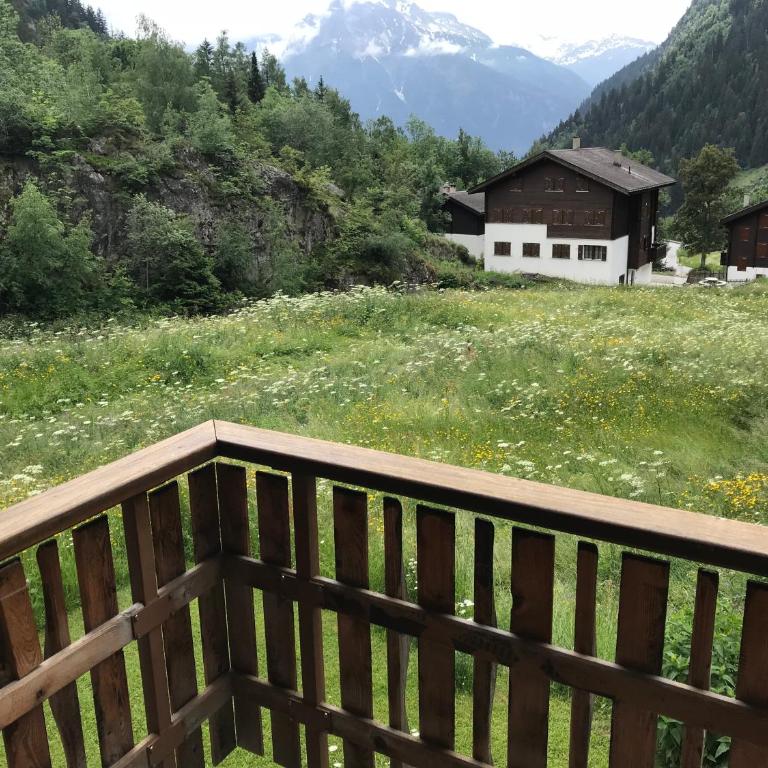 Karlini - Appartement - 31