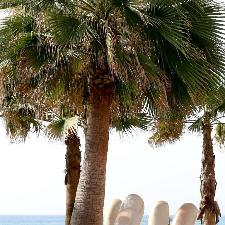 Suitur apartamento frente a la playa fuengirola - Apartamento de 1 dormitorio - 34