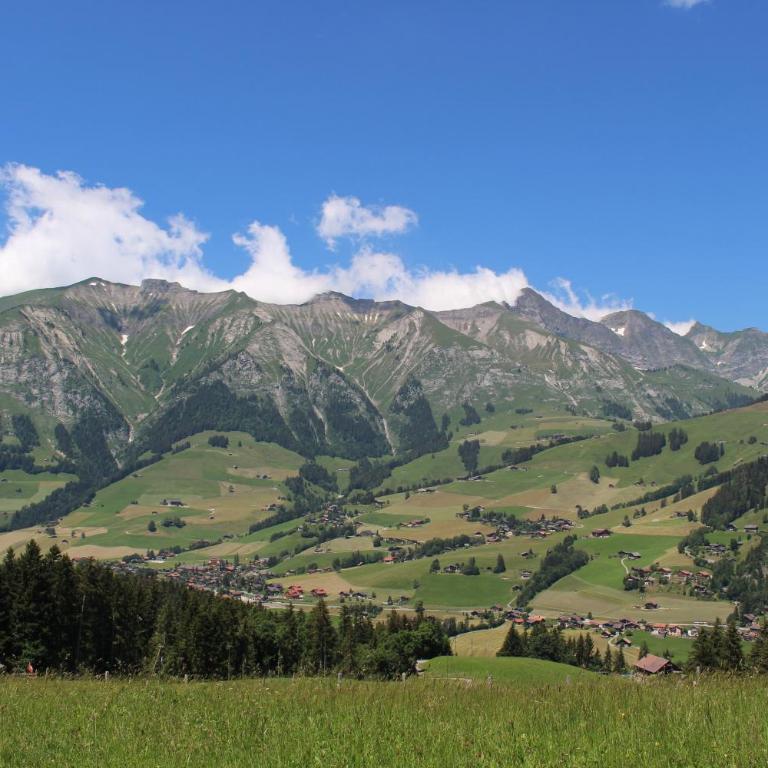 Les Mourriaux - Appartamento - 10