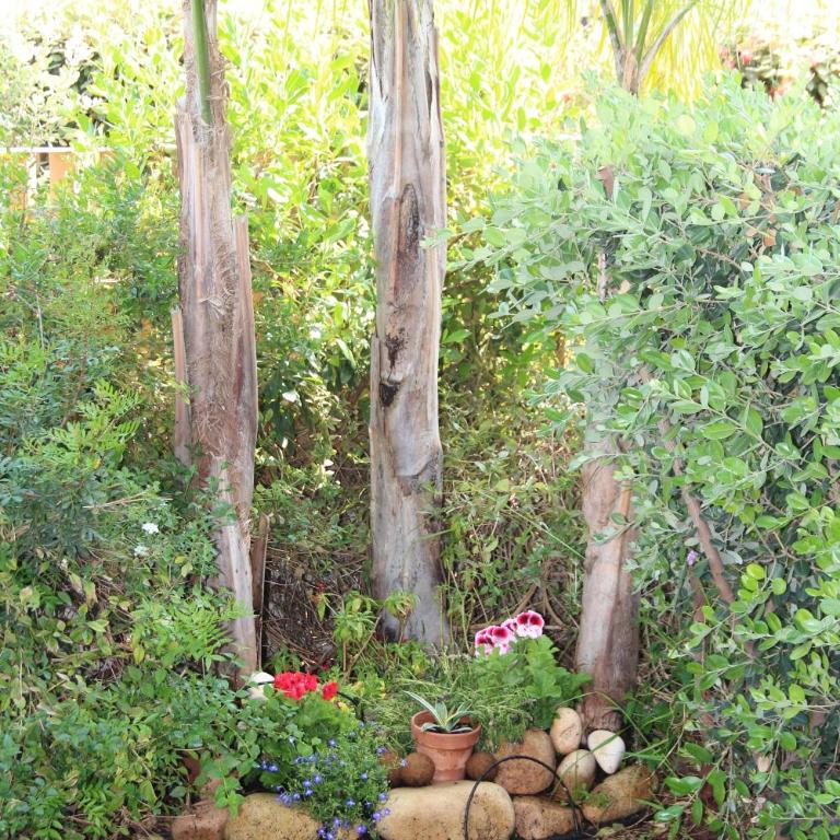 Casa Le Dune - Appartamento - 49