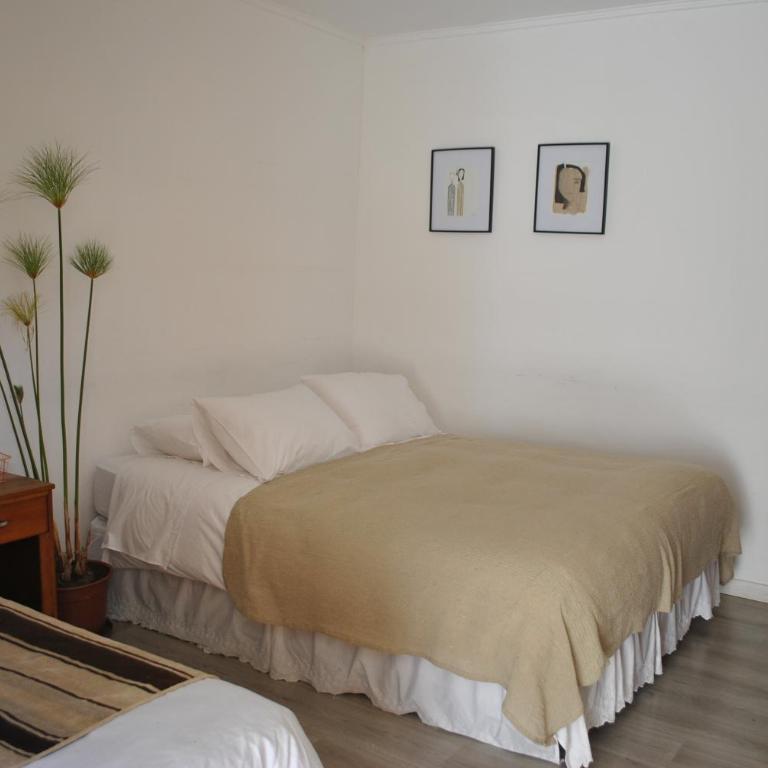 Hotel Boutique Molzano - Habitación Doble Estándar - 2