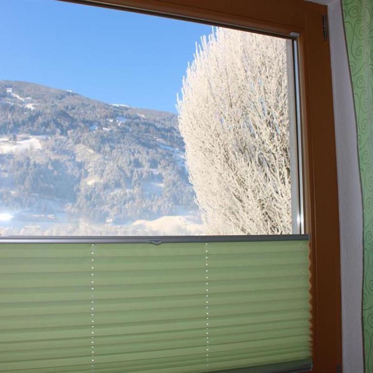 Ferienwohnung Hollaus Elisabeth - Apartment mit 1 Schlafzimmer und Dusche - 19