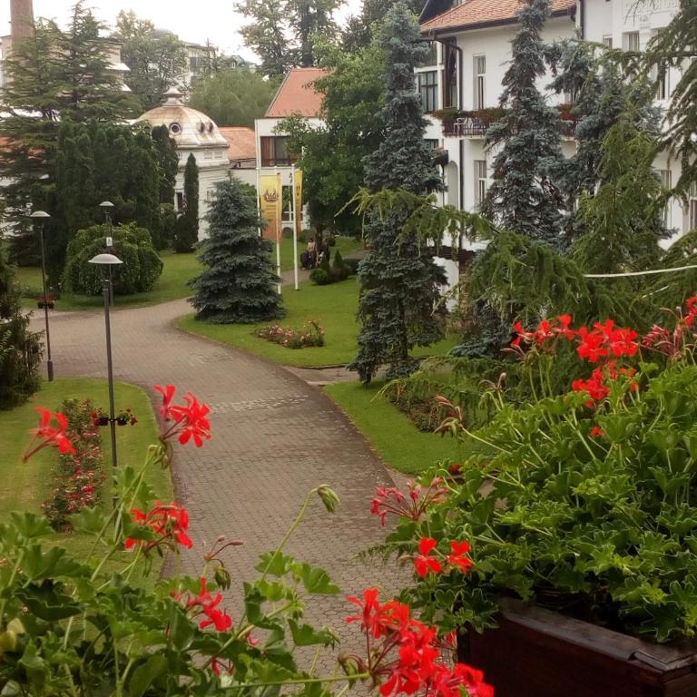 Apartment ENTER - Apartman - 25