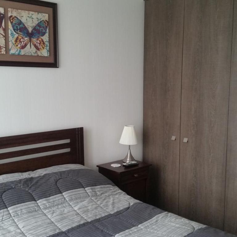 Departamento en Pucon - Apartment - 15