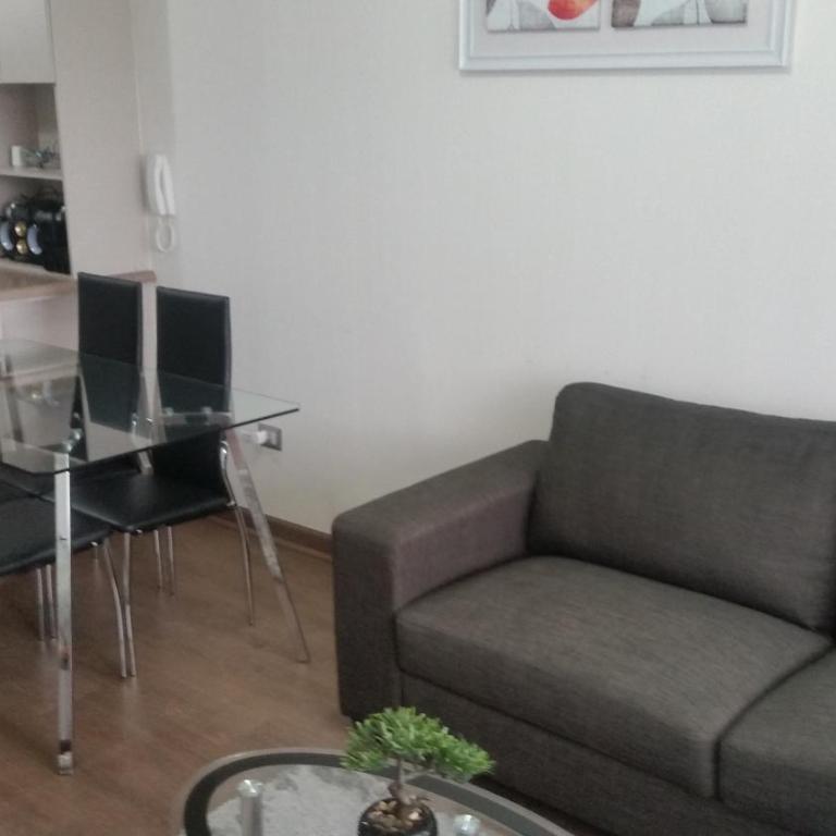 Departamento en Pucon - Apartment - 17