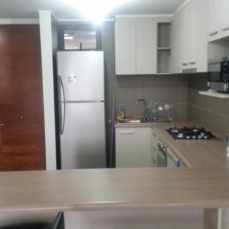 Departamento en Pucon - Apartment - 21