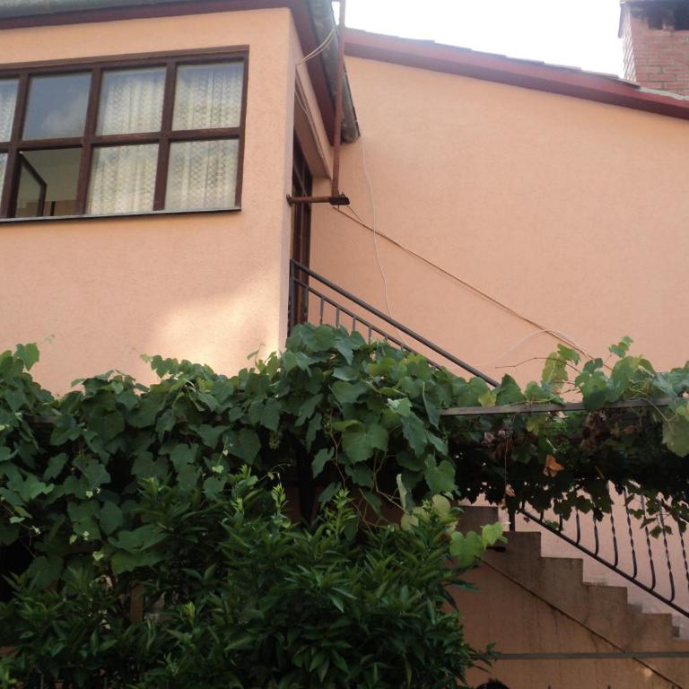 Apartments Škaljari - One-Bedroom Apartment - 12