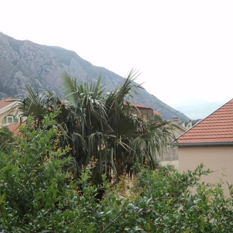 Apartments Škaljari - Apartment with Balcony - 13