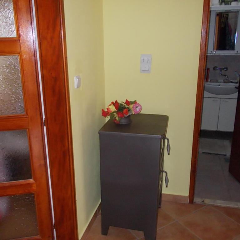 Apartment Jelaca - Apartman sa 2 Spavaće Sobe - 22