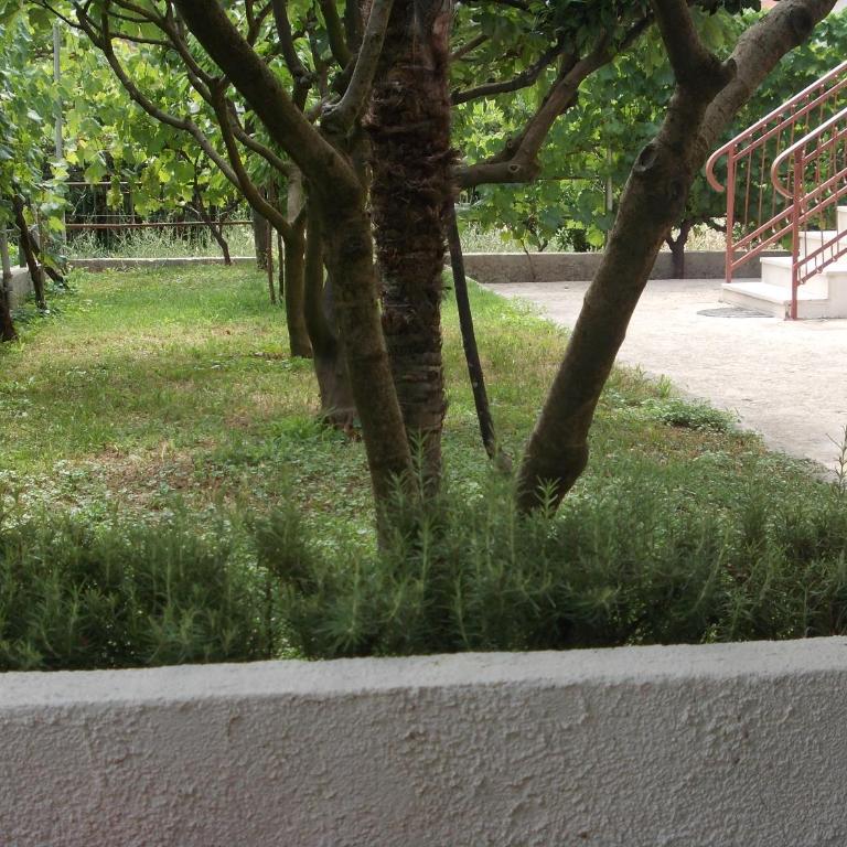 Apartment Jelaca - Apartman sa 2 Spavaće Sobe - 31