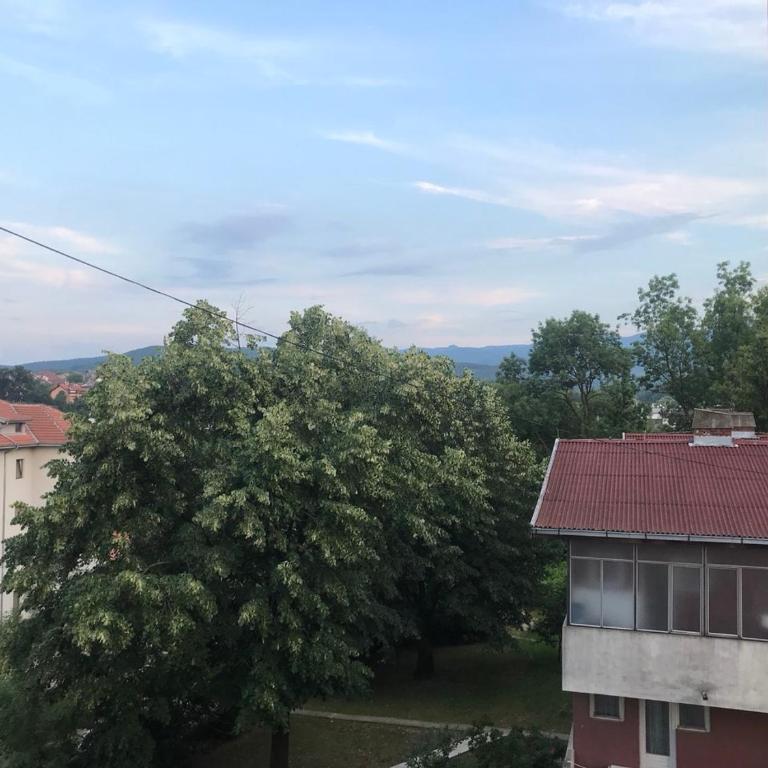Apartman Sofia - Deluks Apartman - 19