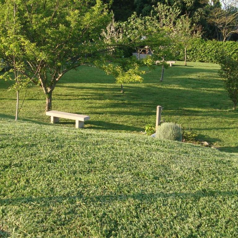 Mariarosa Rio - Apartamento con vistas al jardín - 22