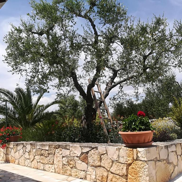 Il Sogno Apartments - Apartment mit Gartenblick - 8