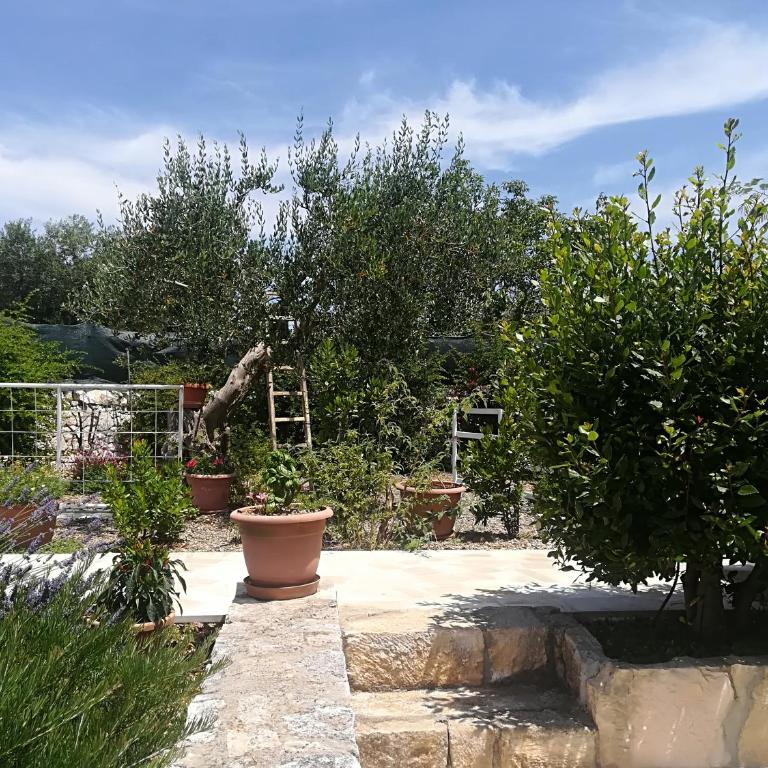 Il Sogno Apartments - Apartment mit Gartenblick - 12