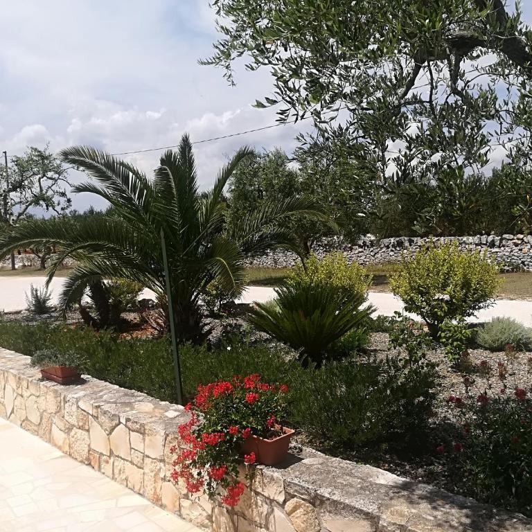 Il Sogno Apartments - Apartment mit Gartenblick - 13