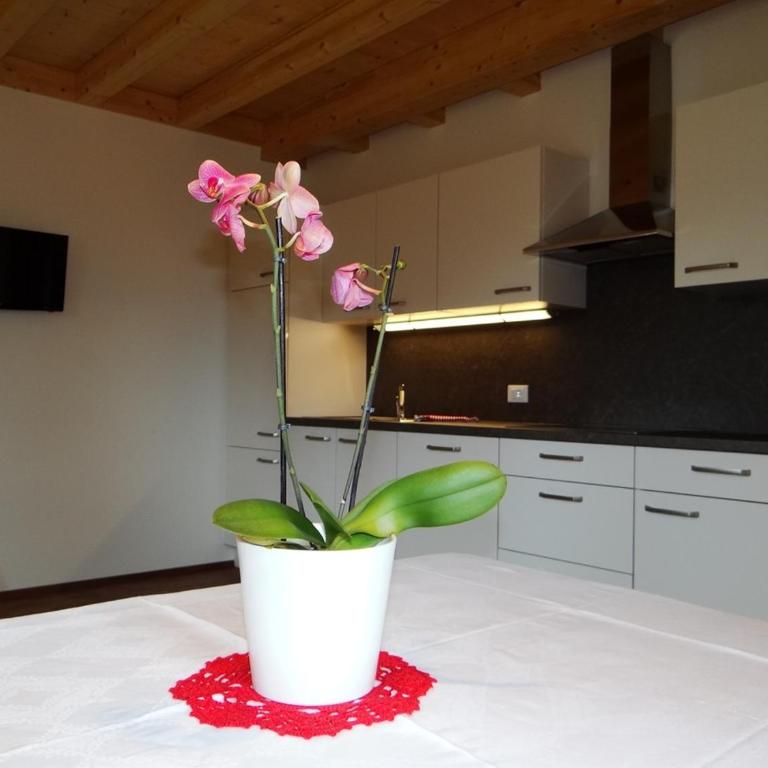 Hochwieserhof - Appartamento con 1 Camera da Letto - 6