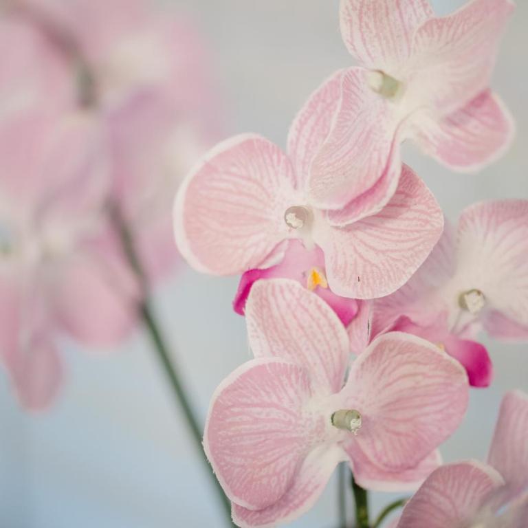 Kevin-Talisa Villa - Deluks Vila - 36