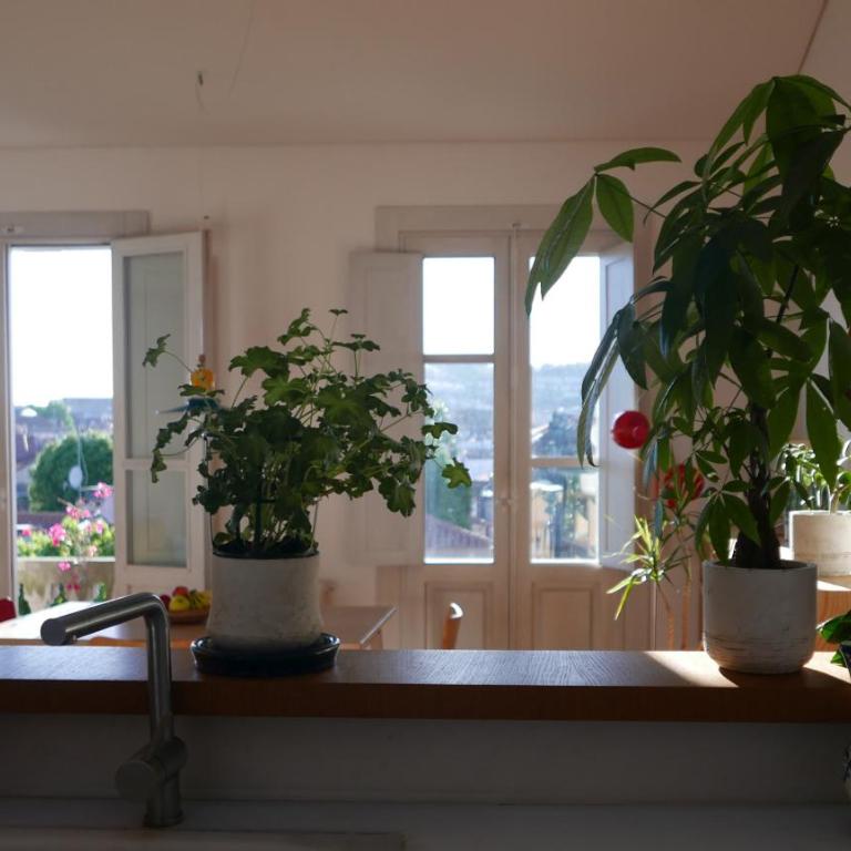 Excelentes vistas en la Plaza de la Verdura - Apartamento - 12