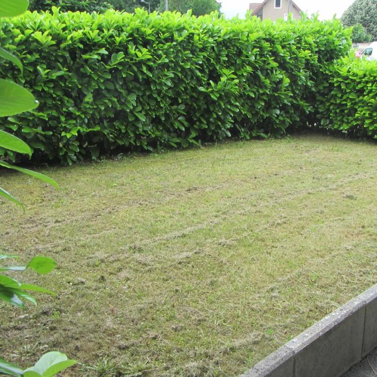 Le Nid Savoyard - Appartement - Rez-de-Chaussée - 10