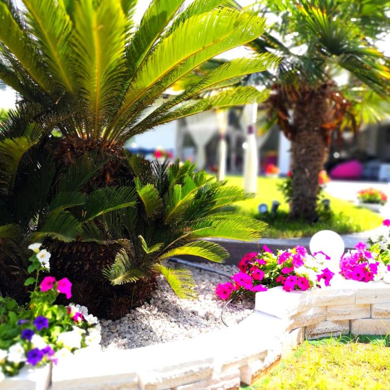 Gaeta in vacanza - Chalet Little Paradise - Villa con Vista Giardino - 6