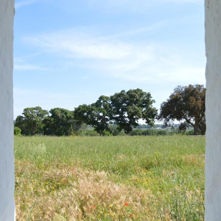 Masseria Faraone - Camera King Superior - 11