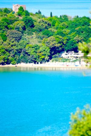 Gaeta in vacanza - Chalet Little Paradise - Villa con Vista Giardino - 58