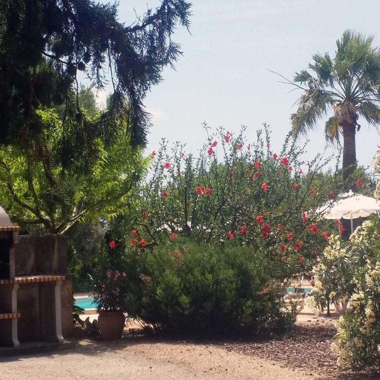 Property Son Marina - Casa - 45