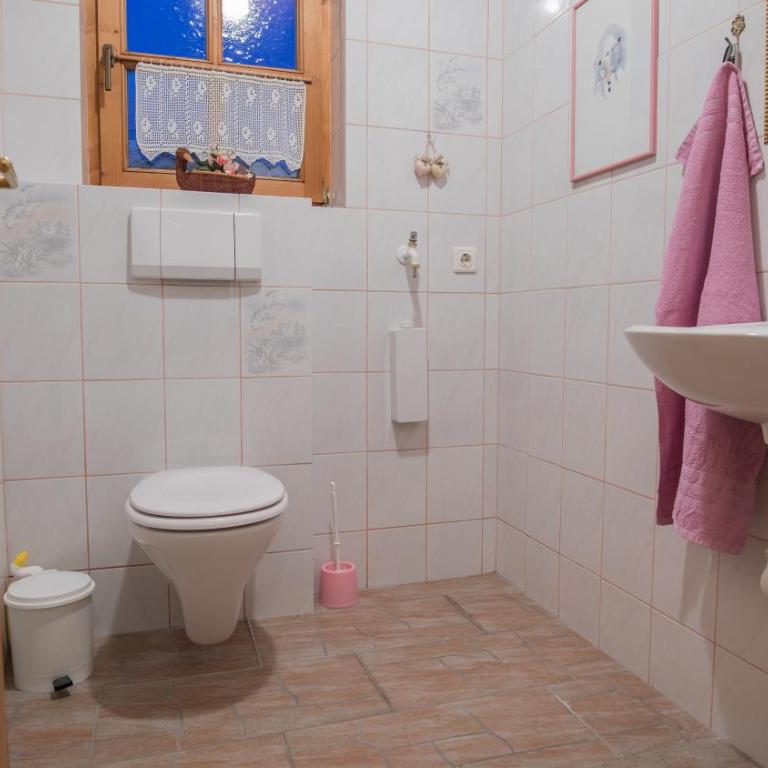 Aparthaus Bergführer Harald Gleirscher - Apartment mit 3 Schlafzimmern - 1