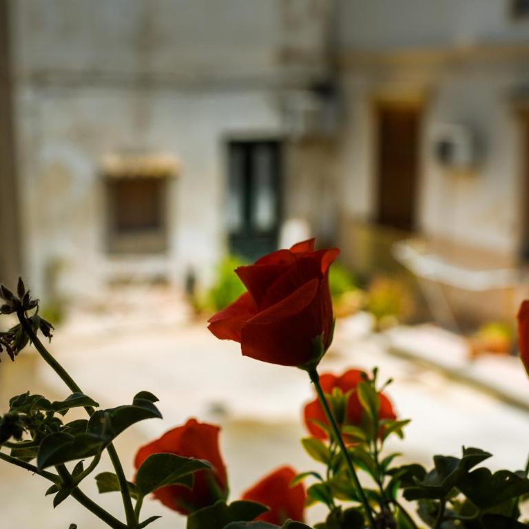 LA CARRETTERIA, ospitalità siciliana - Loft - 27