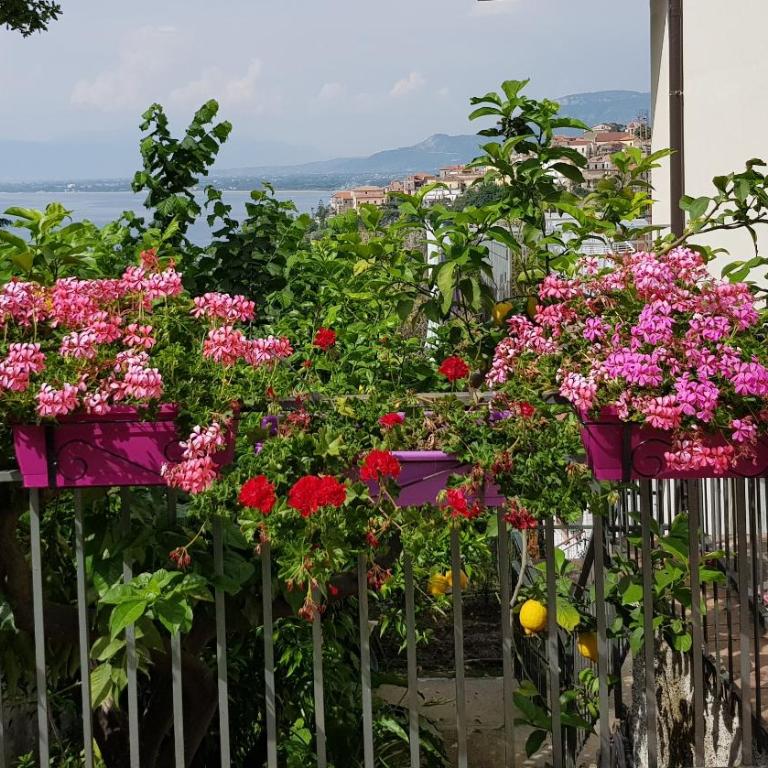 Lodge Rosa - Vacation Home - 24