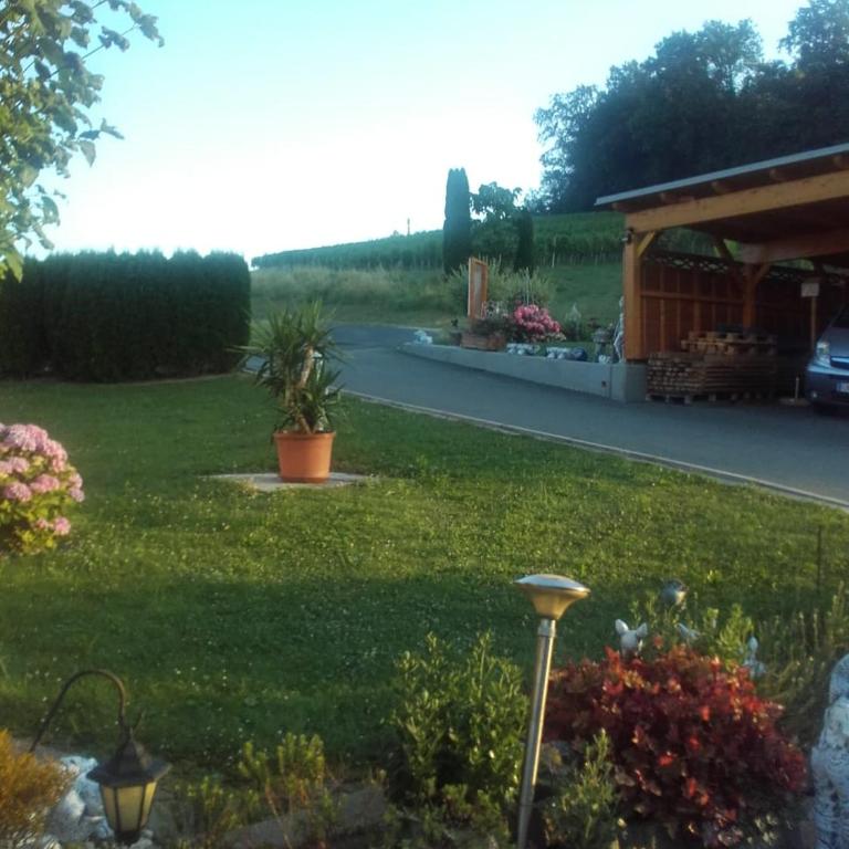 DAHOAM by Fam. FRANZ - Apartment mit Terrasse - 14