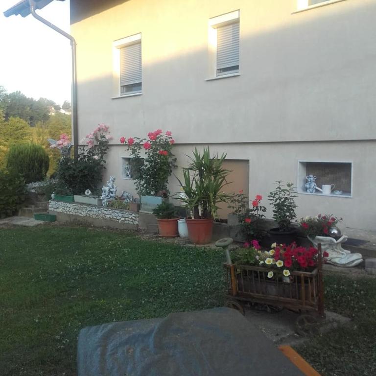 DAHOAM by Fam. FRANZ - Apartment mit Terrasse - 12