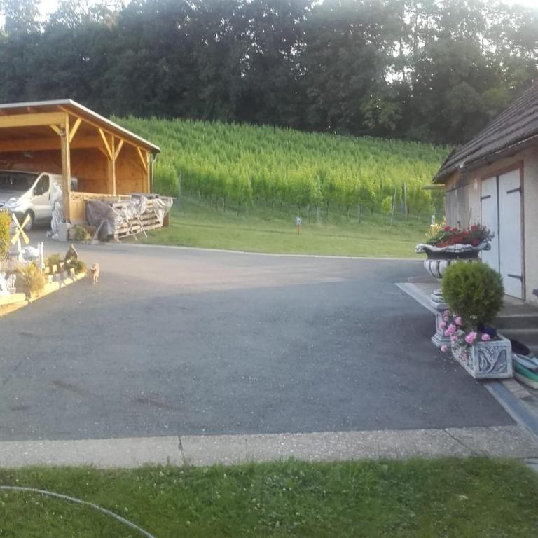 DAHOAM by Fam. FRANZ - Apartment mit Terrasse - 16