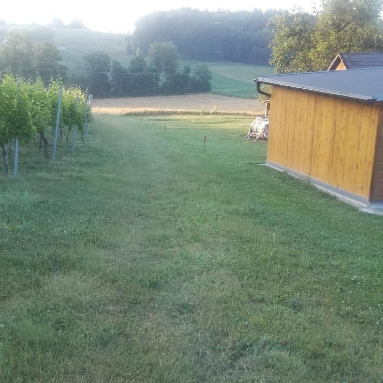 DAHOAM by Fam. FRANZ - Apartment mit Terrasse - 41