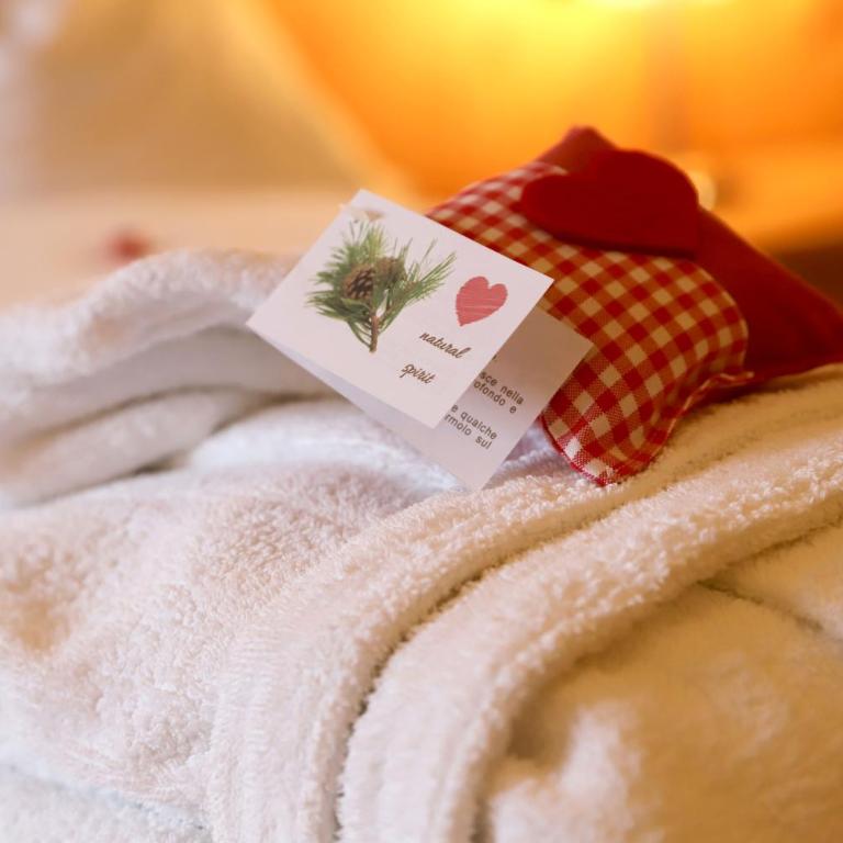 Hotel Dolomiten - Camera Matrimoniale Deluxe - Mansarda - 1