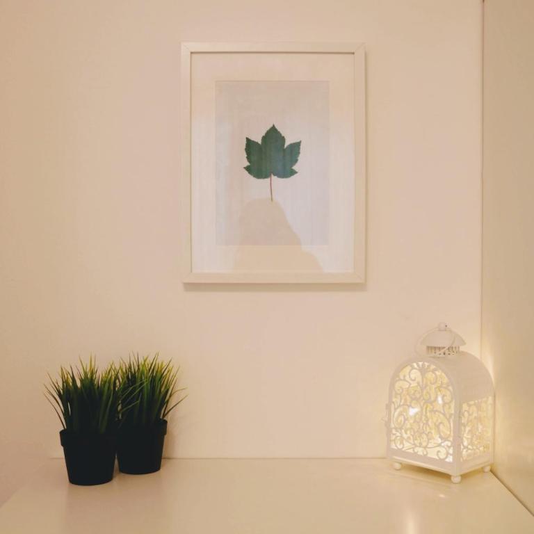 Green Wall Apartment Kaprun - Apartment mit Blick auf die Berge - 12