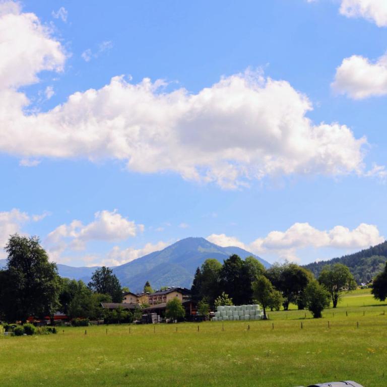 Green Wall Apartment Kaprun - Apartment mit Blick auf die Berge - 28