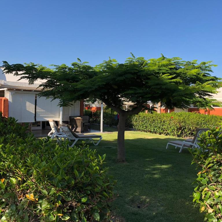 TC Bungalow Melocotones 15 - Villa - 2