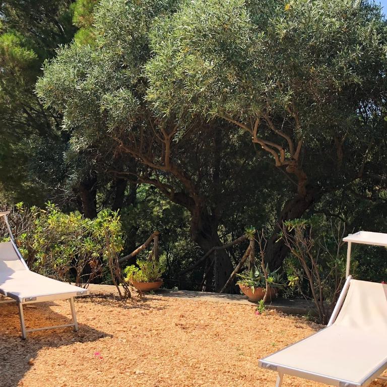 Villa Mariza - Villa - 42