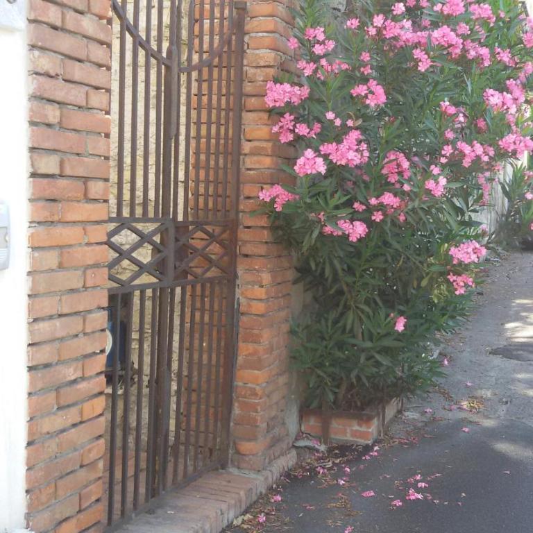 Sciala' - Casa Vacanze - 14