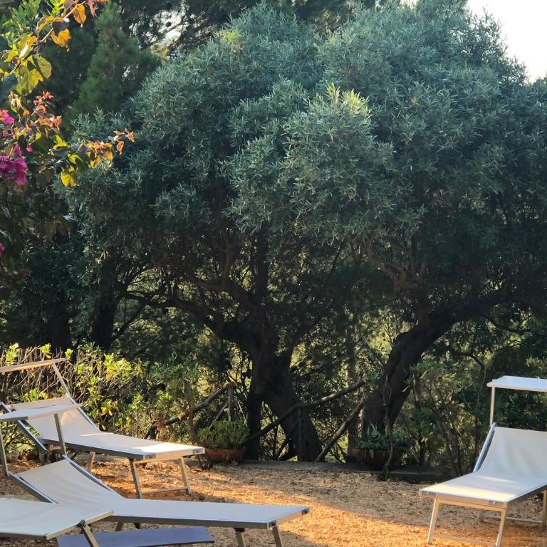 Villa Mariza - Villa - 45