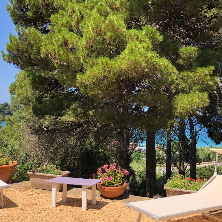 Villa Mariza - Villa - 46