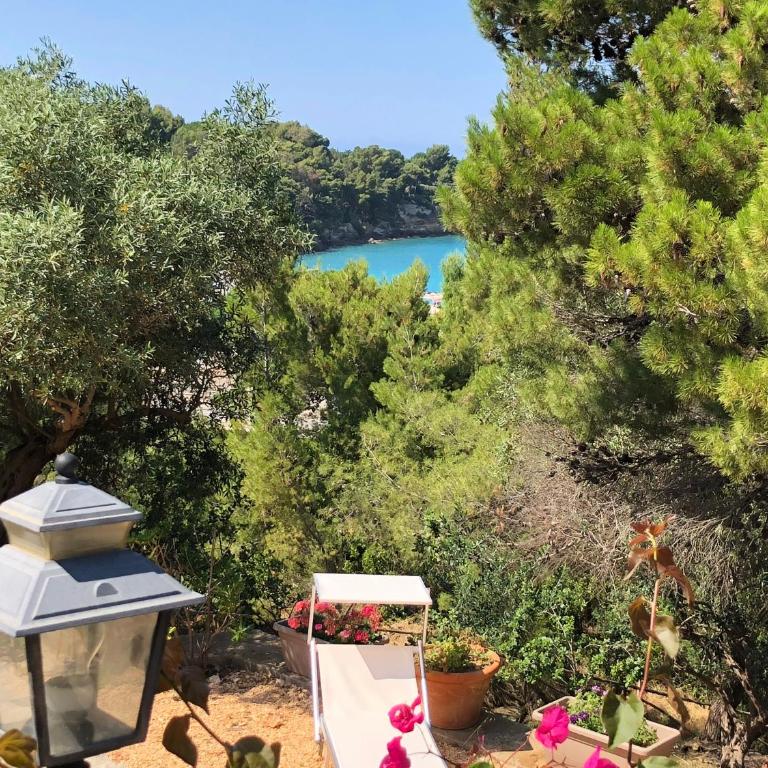 Villa Mariza - Villa - 43